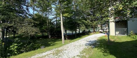 المنطقة المحيطة بالمنشأة