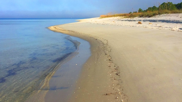 Una playa con agua cristalina, orilla de arena y vegetación al fondo.
