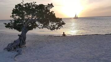 Ein Strand mit einem großen Baum im Vordergrund und einem Segelboot im Hintergrund.