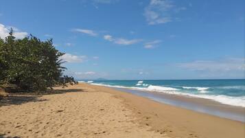 On the beach, sun-loungers