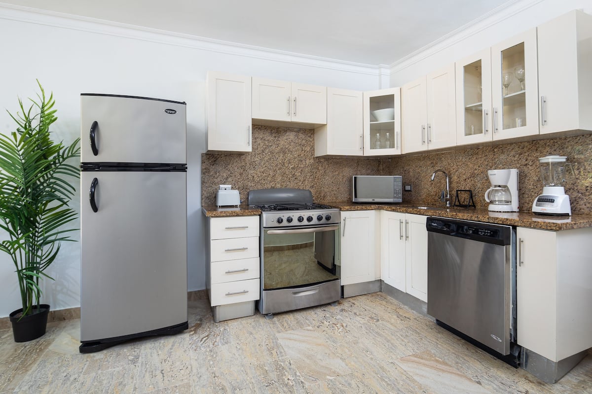 A modern kitchen with stainless steel appliances, white cabinetry, granite countertops, and a potted plant.