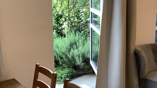 Uklassifisert bilde, 1 av 38, knapp
