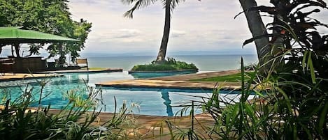 A pool area with a palm tree, a small island, and a view of the ocean.