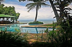 Zona de piscina con una palmera, una pequeña isla y vistas al océano.
