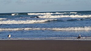 A beach with waves and two birds on the sand. - Waterfront Bay House Rental (Port Isabel)