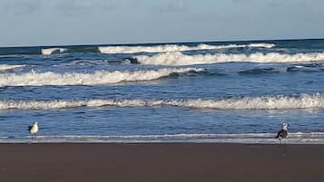 Nära stranden