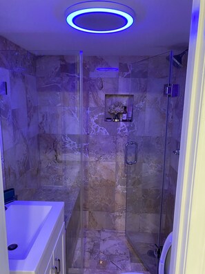 Shower, hair dryer, towels