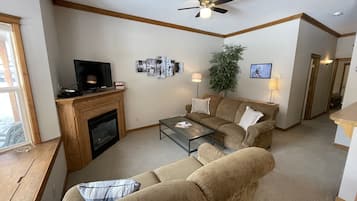 Smart TV, fireplace, DVD player, books