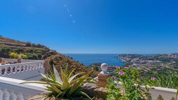 A coastal view with a white balustrade, a white spherical object, and green foliage.