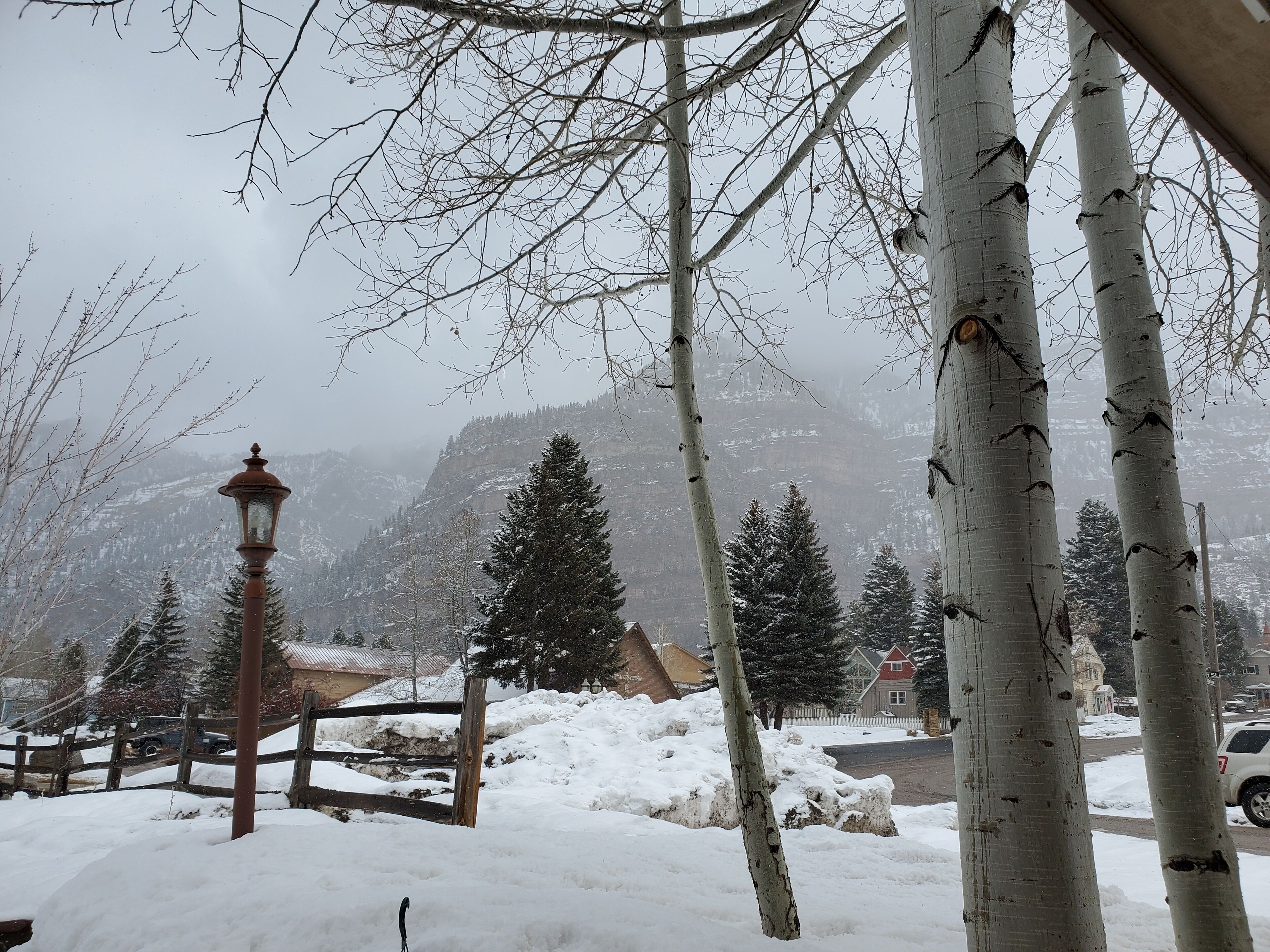 A snowy landscape with birch trees, a lamppost, and a mountain in the background.
