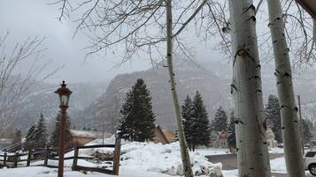 A snowy landscape with birch trees, a lamppost, and a mountain in the background.