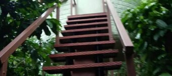Rustic Charm Wayanad - Tranquil times (Capsule)