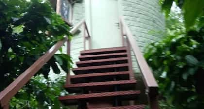 Rustic Charm Wayanad - Tranquil times (Capsule)