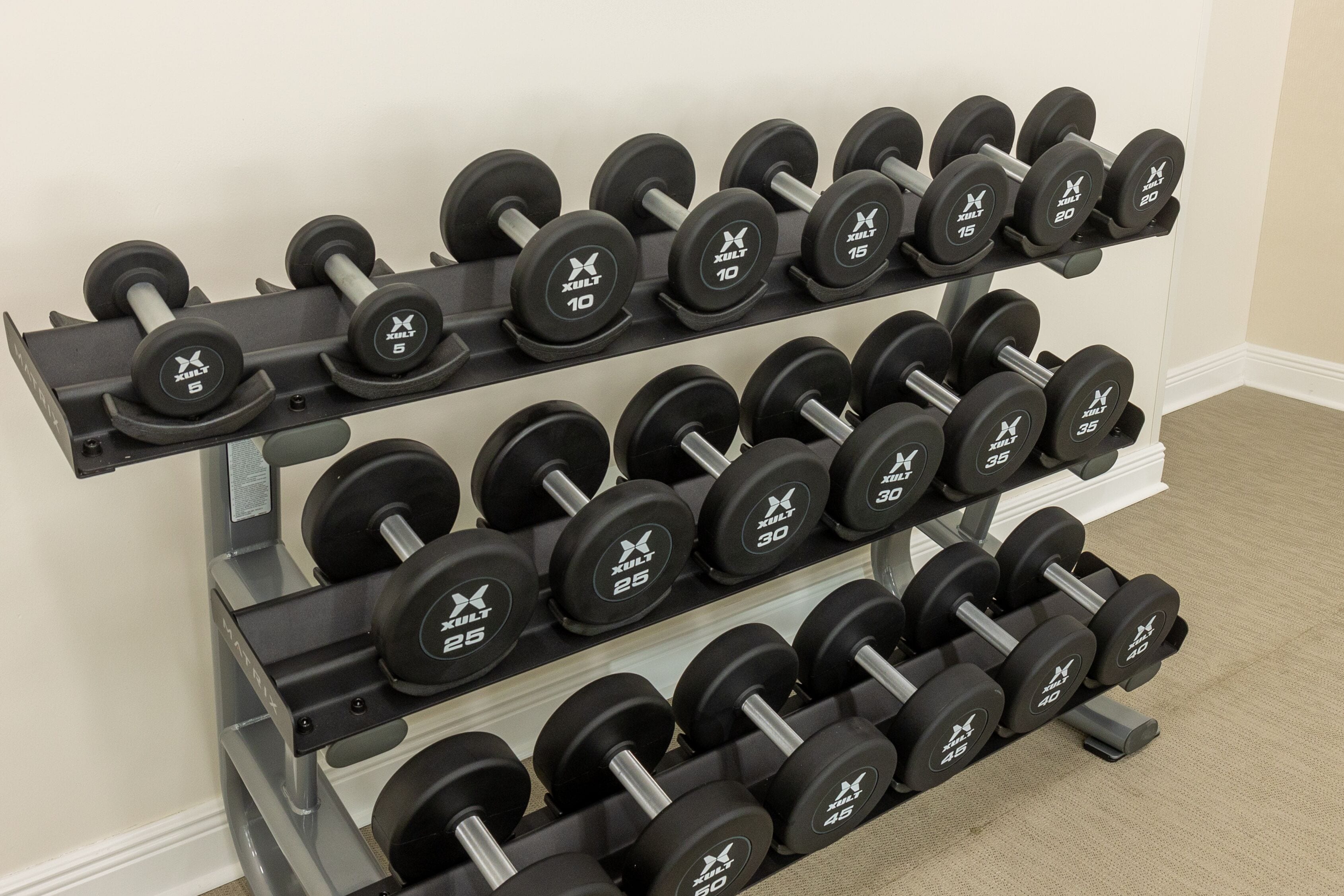 A wall-mounted dumbbell rack with various weights.
