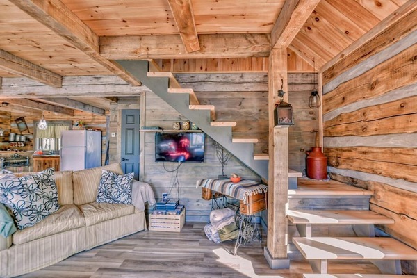 Smart TV, reproductor de DVD, libros