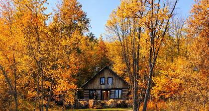 Waterfront Cottage, Dock, Canoe, Firepit, Sleeps 8