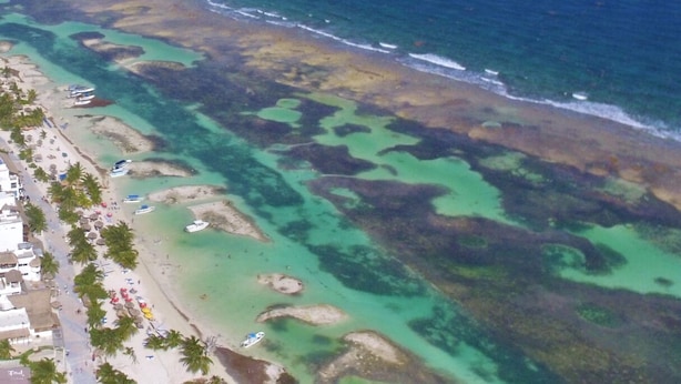 Vista aérea de uma área costeira com águas cristalinas, uma praia de areia e alguns barcos.