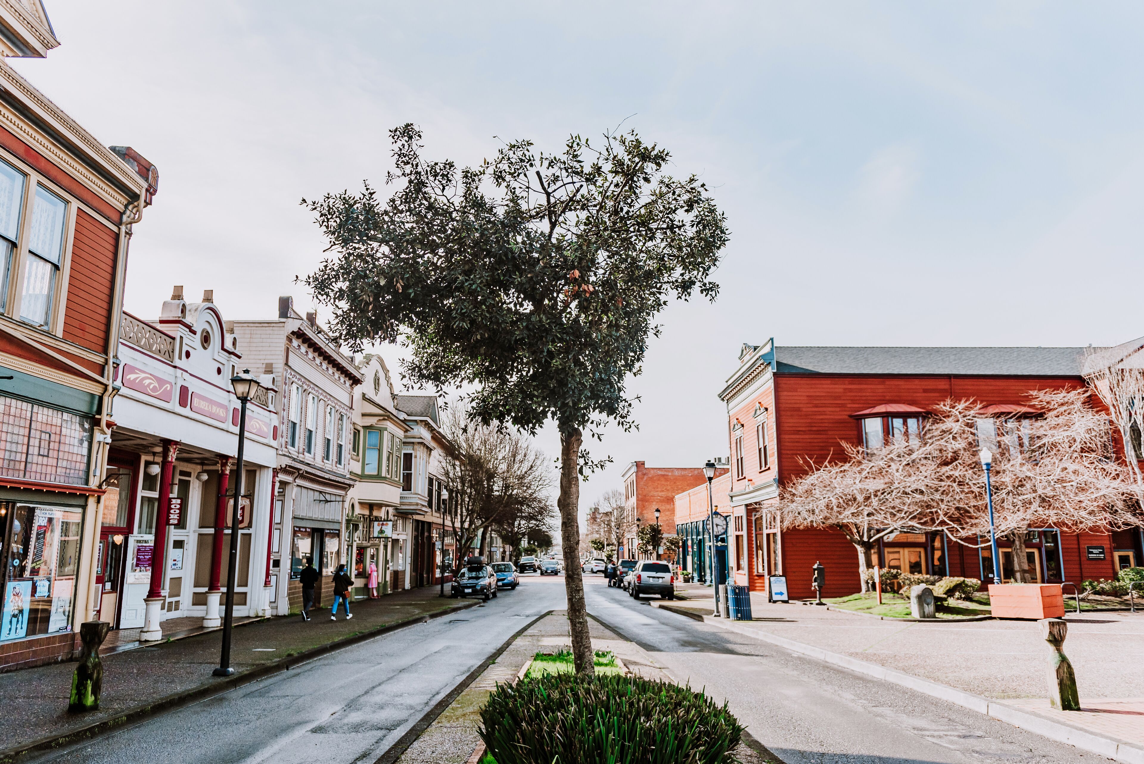 Une rue bordée de bâtiments historiques, avec un arbre au centre et des voitures garées.