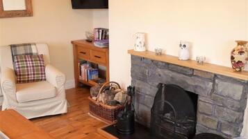 TV, peis og DVD-spiller