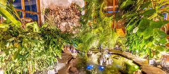 Beautiful Oasis Home - 5 min to Strip & Airport!