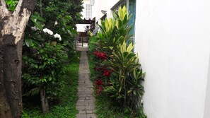 A narrow pathway flanked by lush greenery and a white building. - Cozy Demi Suite In Friendly House (São Paulo)