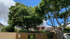 Exterior - Open Plan Leading Onto Pool (Cape Town)
