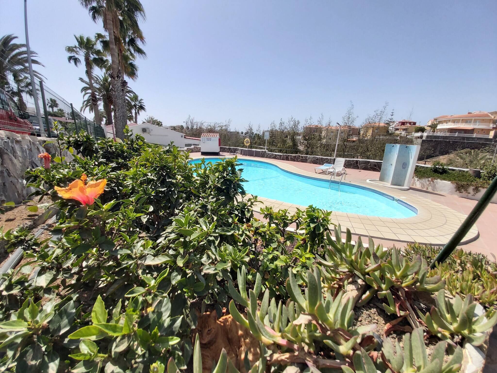 Condo, 2 Bedrooms, Accessible, Smoking | Pool | Outdoor pool