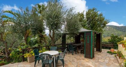 A Dream Holiday in the Green