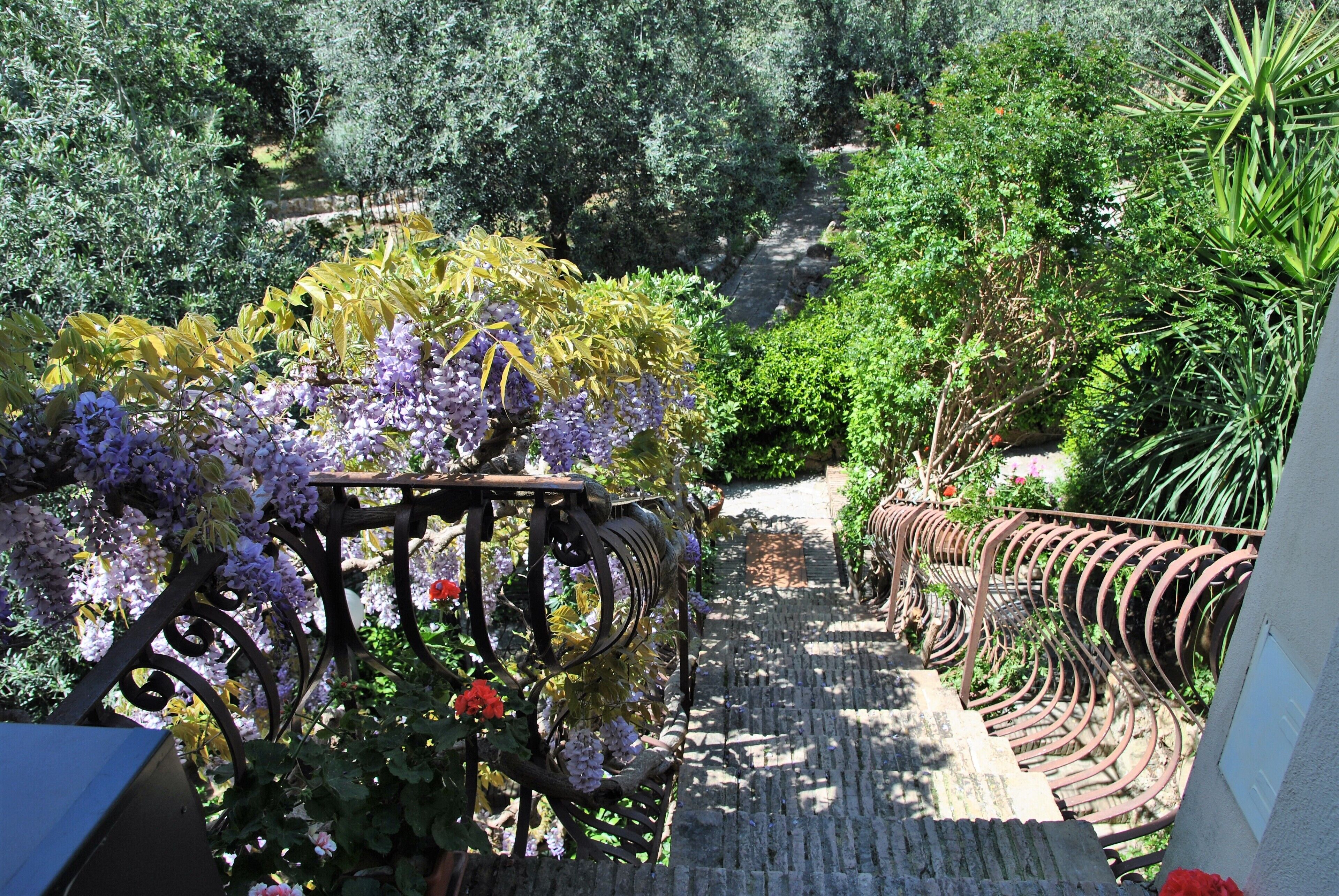 House, 2 Bedrooms, Terrace, City View | Garden