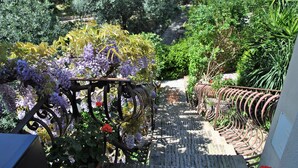 A garden with a metal trellis supporting purple flowers, a stone pathway, and various green plants. - Dinky Home Air-conditioned Penthouse With sea View Terrace (Formia)