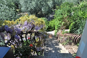 A garden with a metal trellis supporting purple flowers, a stone pathway, and various green plants.