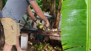 Eine Person schält Obst neben einer Holzhütte mit einer Kordel und großen grünen Blättern im Hintergrund.
