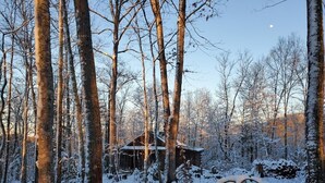 Una cabaña rodeada de árboles cubiertos de nieve.