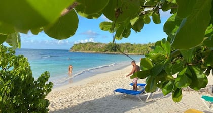Private Terrace - Apartment 2 in Villa Coconut