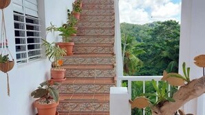 Eine Treppe mit Blumentöpfen, Blick auf üppiges Grün und ein weißes Geländer.