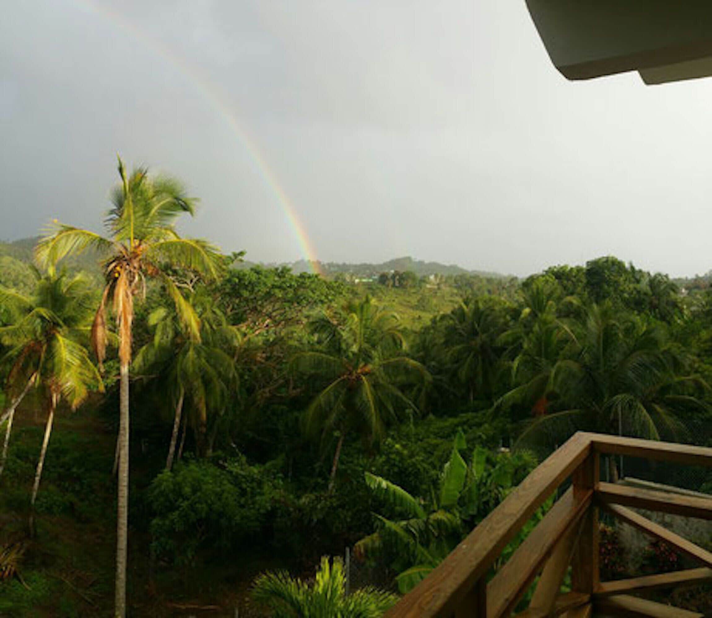 Great Palm View - Apartment 3 in Villa Coconut