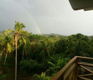 Apartment, 1 Bedroom, Private Pool | View from property