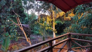 Eine Holzterrasse mit Geländer, die auf einen Garten mit verschiedenen Pflanzen und Bäumen blickt.