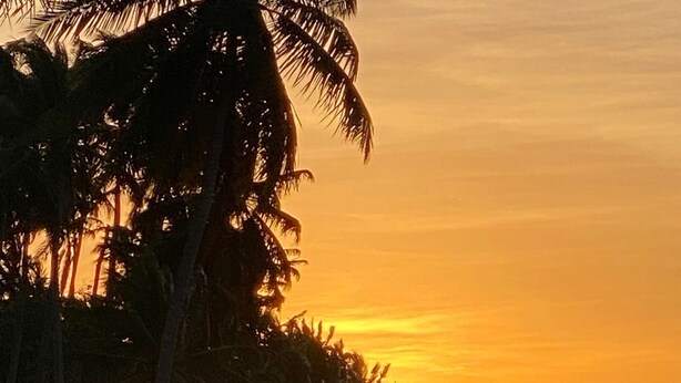 Strandszene mit Palmen, die vor einem Sonnenuntergang silhouettiert sind.