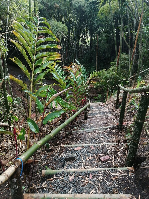 Área da propriedade