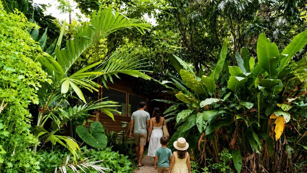 A pathway through a lush garden with various tropical plants and a wooden structure in the background. - Private 2-bedroom Jungle Cabin in Tropical Garden, San Ignacio (San Ignacio)