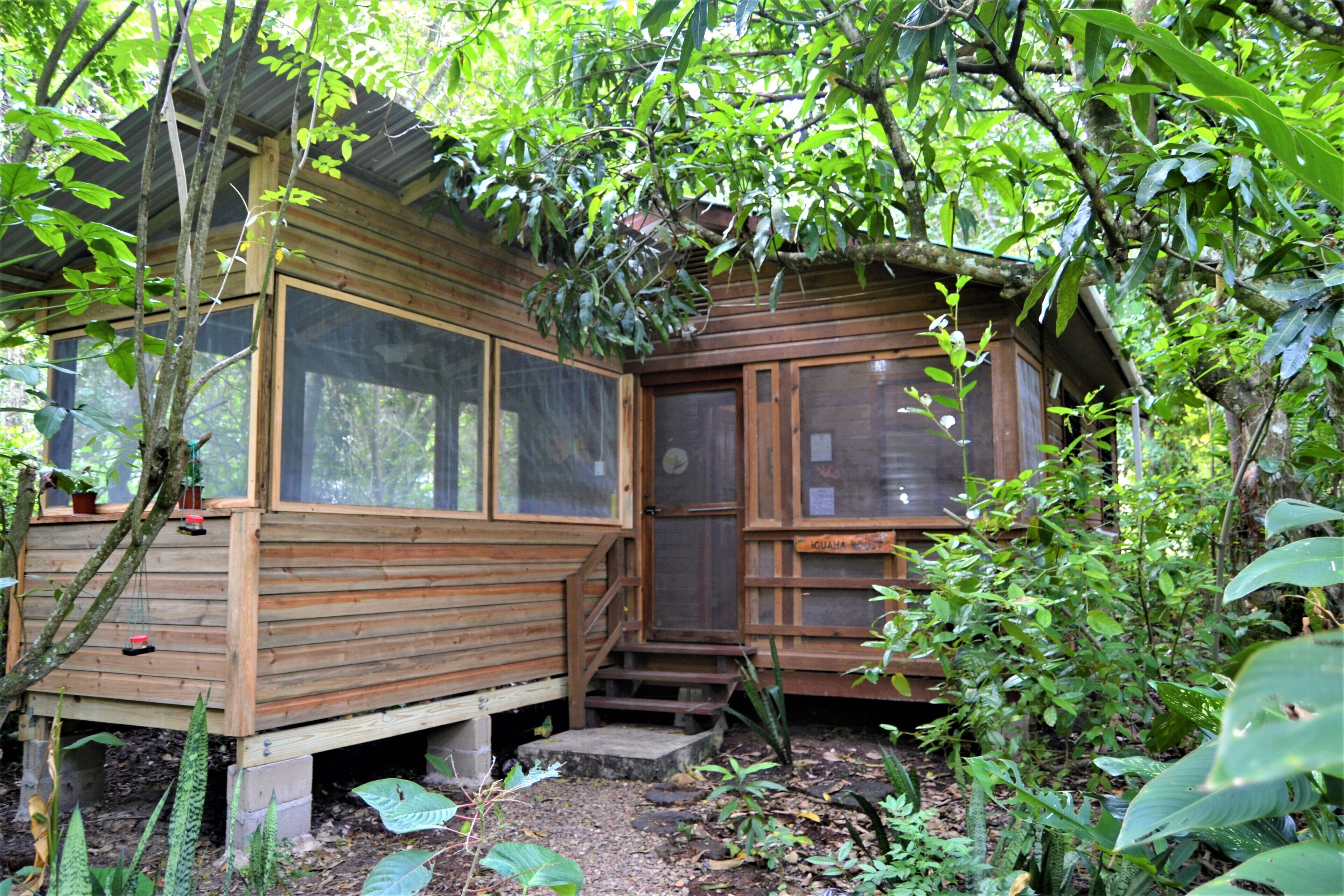 Ferienhütte, 2 Schlafzimmer, Raucher, Terrasse | Eingangsbereich