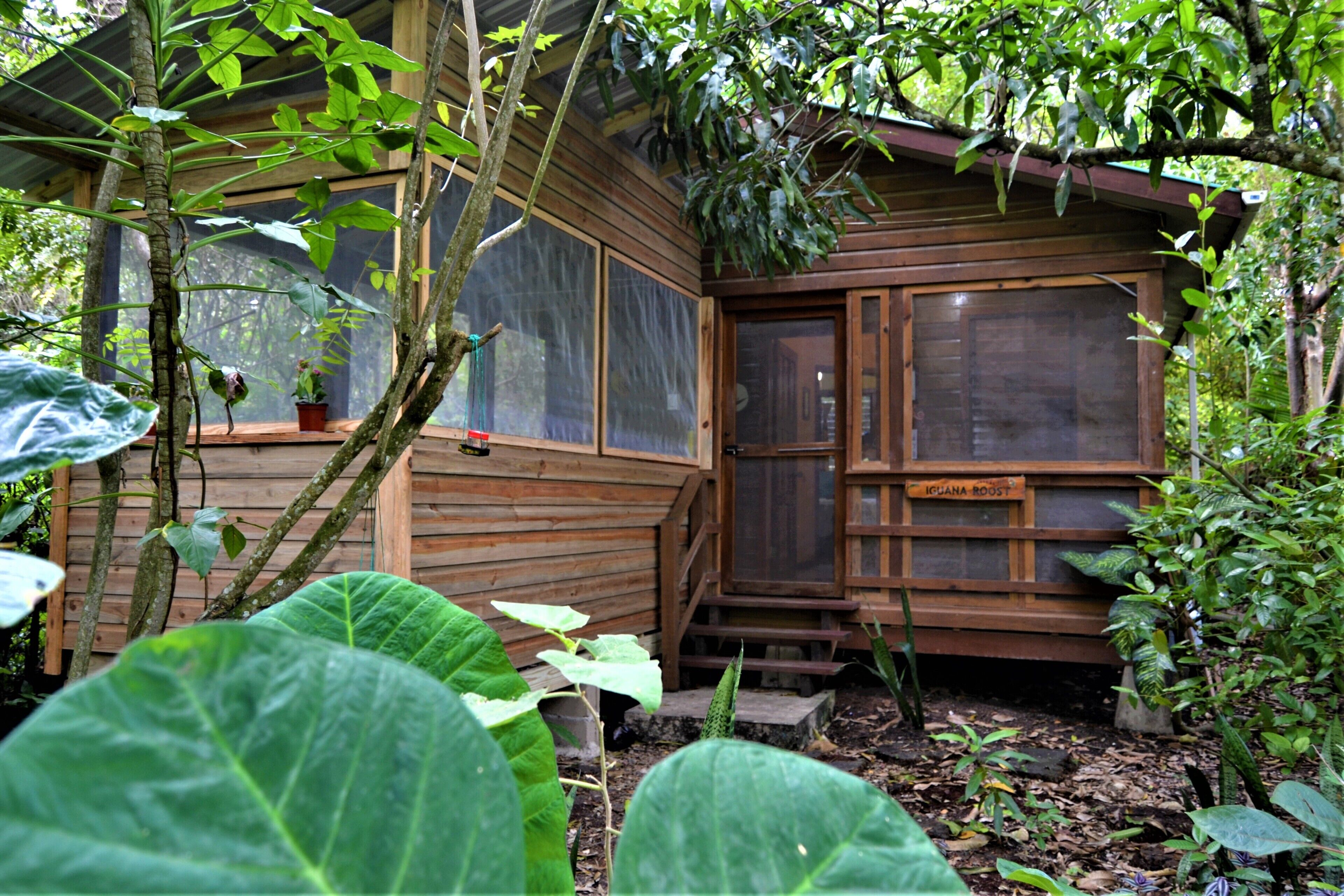 Cabin, 2 Bedrooms, Smoking, Patio | Exterior detail