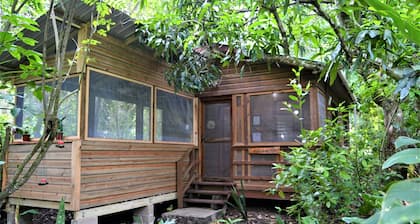 Wild & Wonderful Family-friendly 'jungle Like' Oasis in San Ignacio Belize
