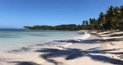 Executive Suite - Apartment 7 in Villa Coconut