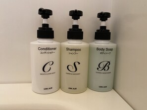 Combined shower/tub, hair dryer, slippers, bidet