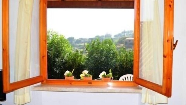 Una habitación con ventana de madera que da a un jardín con plantas en macetas.