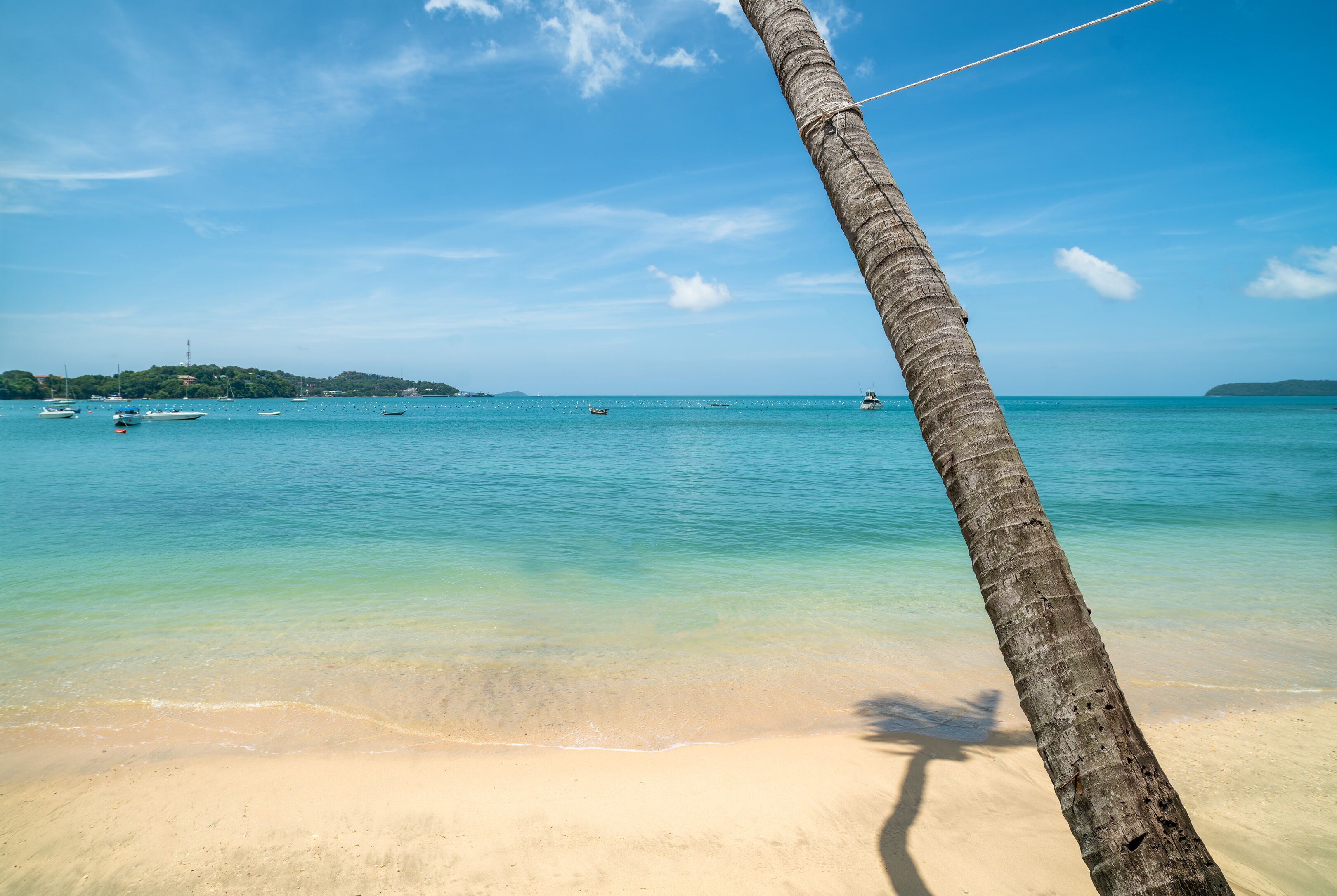 Chaises longues, serviettes de plage