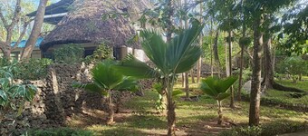 Villa in Diani Beach