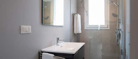 Regadera, secadora de cabello, bidet, shampoo